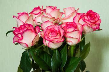 Lovely bouquet with big flowers of roses of bright pink and white color are staying on the table. Green leaves and thorns. Still life. Light green  background