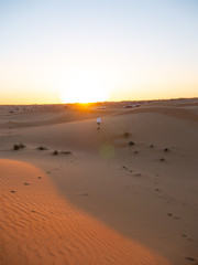 Fototapeta na wymiar Sand dunes in Dubai