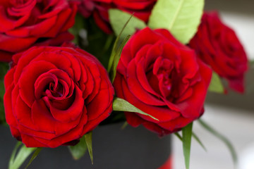 Beautiful bouquet of roses in a gift box. Bouquet of red roses. Red roses close-up