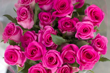 Obraz na płótnie Canvas Pink roses close-up. A bouquet of pink roses in a beautiful packing box.