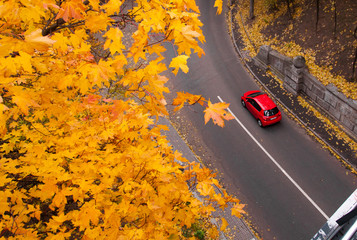 Aerial view of road with red car in beautiful autumn forest. Beautiful landscape with rural road, trees with red and orange leaves. Highway through the park. Top view. Nature background.
