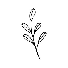 Cute single hand drawn herbal elements. Doodle vector illustration for wedding design, logo and greeting card.