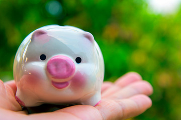 save money concept, piggy save money concept, piggy bank on nature background