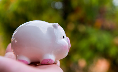 save money concept, piggy save money concept, piggy bank on nature background