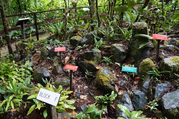 Kinabalu Nature Park is a nature park aimed at protecting the mountain area centered on three mountains. It is a national park in Malaysia and was listed as a UNESCO World Heritage Site in 2000.