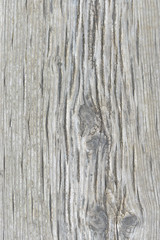 Railway Sleeper