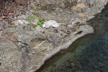 さまざまな川の流れ