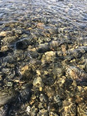 透明の川の水