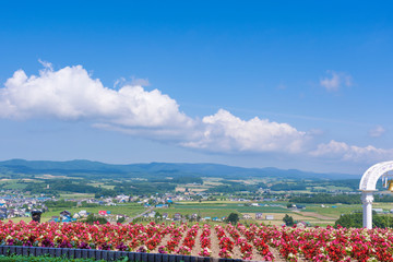 北海道　日の出公園展望台より上富良野町を望む