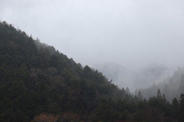 山と霧