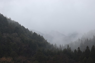 山と霧