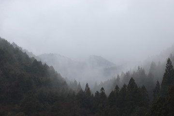 山と霧