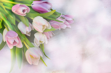 Schöne weisse und violettfarbende Tulpen, bokeh hintergrund, blumenstrauß