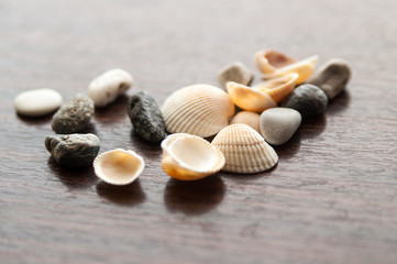 stones and sea shells