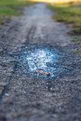 Frozen puddle on the road.
