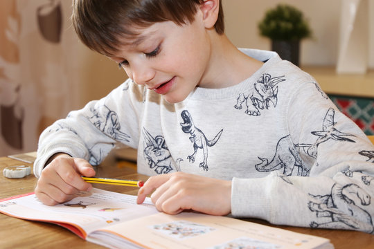 Grundsch&uuml;ler beim Heimunterricht (Homeschooling)