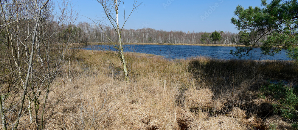 Sticker See im Venner Moor bei Münster - Lake in the Venner Moor near Münster