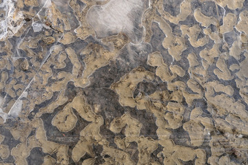 gefrorene Pfütze die mit einer Eisschicht bedeckt ist