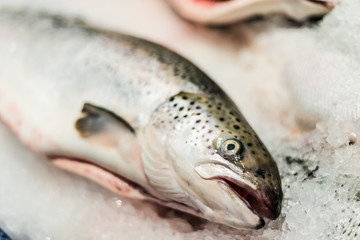 Fish put up for sale at a supermarket stall