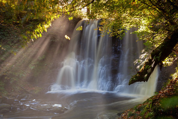 Glenariff Forest Park II