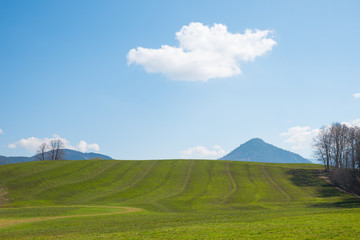 freshly fertilized field in hilly landscape, bavaria