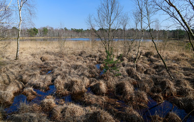 See im Venner Moor bei Münster - Lake in the Venner Moor near Münster