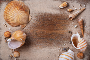 Shells and sand  on a wooden table. Layout for design.