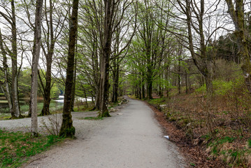 A scenic pedestrian foot path along Eivindsvannet lake in Djupadalen public recreational and hiking area, Haugesund, Norway, May 2018