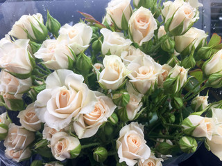 Peach roses bouquet, beautiful blooming small roses