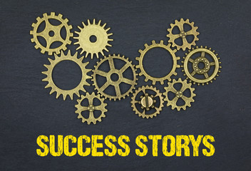 Success Storys
