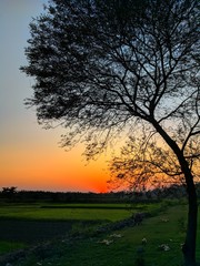 Beautiful sunset in an Indian village