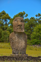 Detail of Ahu Akivi  Easter Island Moai up close 