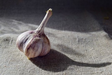garlic on wooden table