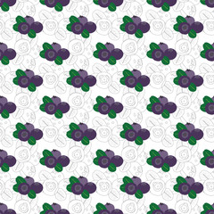 seamless blueberry pattern. natural blueberries pattern on white background. seamless pattern for packaging, printing, textile etc.