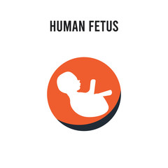 Human Fetus vector icon on white background. Red and black colored Human Fetus icon. Simple element illustration sign symbol EPS