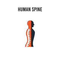 Human Spine vector icon on white background. Red and black colored Human Spine icon. Simple element illustration sign symbol EPS