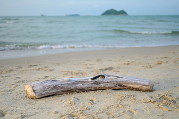 Fallen Log on sand beach with island on background