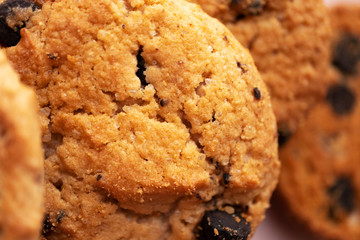 Cookie with chocolate chip with selective focus, close-up. Macro sweet baked food  texture