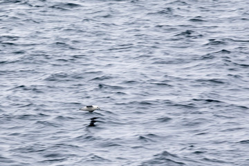 Färöer - Inseln im Nordatlantik