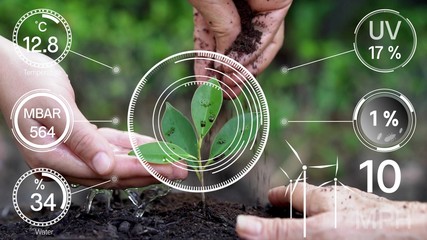 Smart digital agriculture technology by futuristic sensor data collection management by artificial intelligence to control quality of crop growth and harvest. Computer aided plantation grow concept.