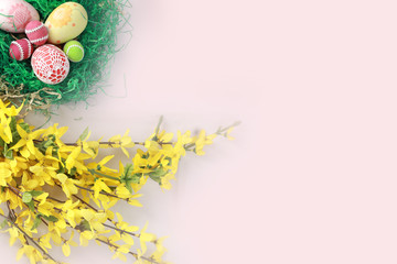 Fototapeta na wymiar Easter eggs with green grass and yellow flowers with white background with space for text.