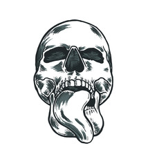 Skull illustration drawing black and white