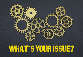 What´s your issue?