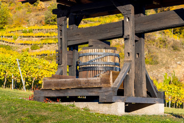 wine region Wachau at wine harvest time in Austria