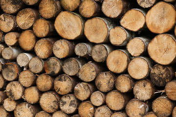 Small cutted timber logs. Timber. Wooden background