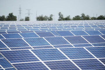 solar panels