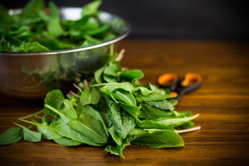 fresh cut sorrel leaves on a wooden table
