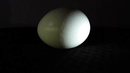 egg on black background