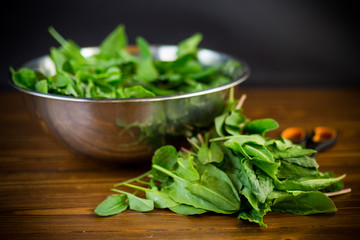 fresh cut sorrel leaves on a wooden table