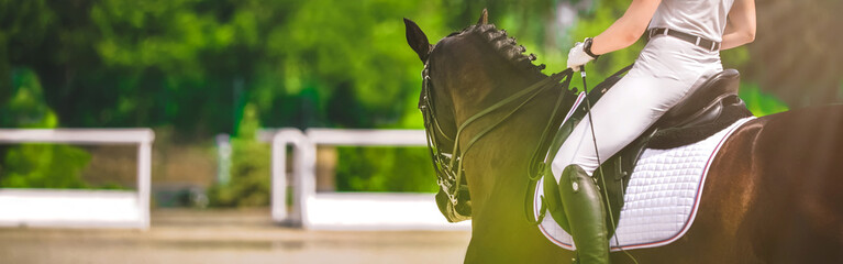 Dressage horse and rider in black uniform closeup. Horizontal banner for website header design. Equestrian sport competition, copy space.